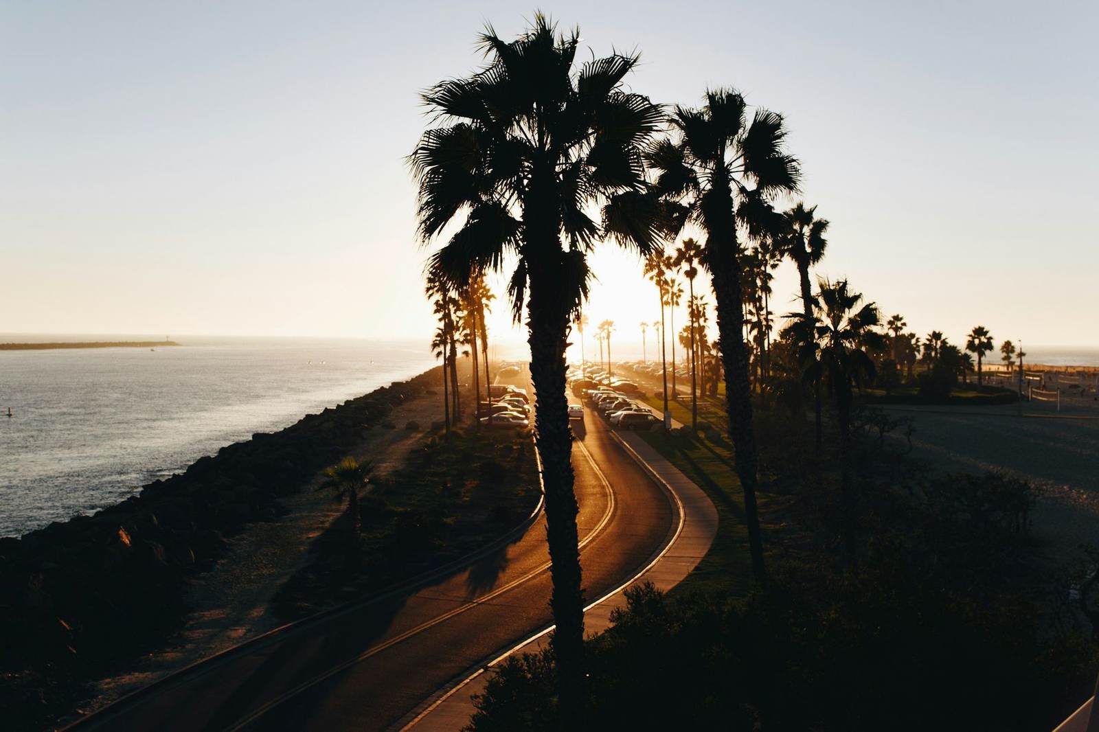 Atardecer entre palmeras en la costa de California